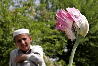 Τρομακτικό το ποσοστό των εθισμένων Αφγανών στα ναρκωτικά