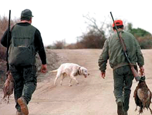 Εντείνονται οι έλεγχοι κατά του παράνομου κυνηγιού σε Ζάκυνθο-Στροφάδες