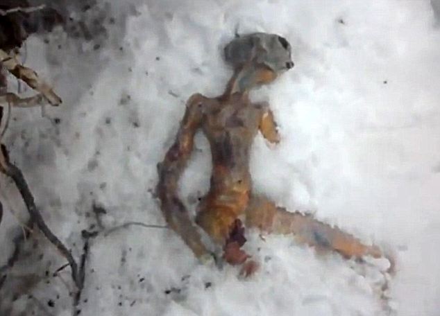 Βρέθηκε νεκρός εξωγήινος στη Σιβηρία;
