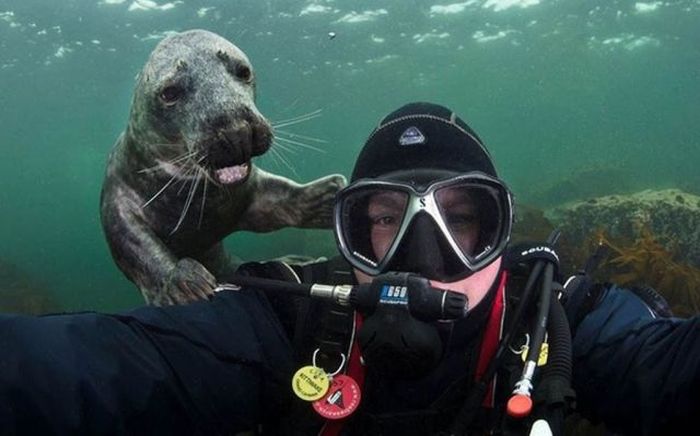 Κολλημένοι με τις selfies