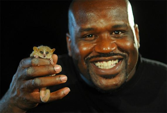 22-Shaq-Holding-Things 22-Shaq-Holding-Things