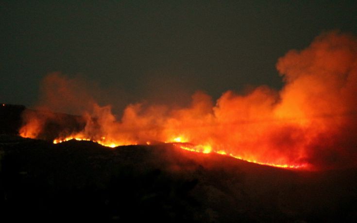 Υπό μερικό έλεγχο η πυρκαγιά σε πευκοδάσος της Κόνιτσας