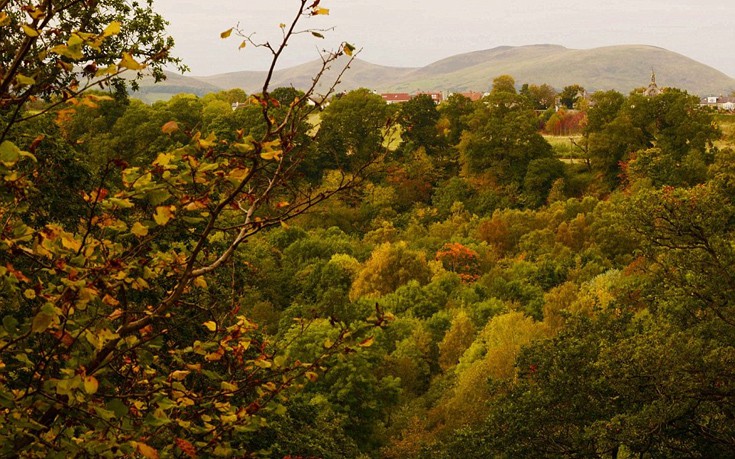 weastshfn4 weastshfn4