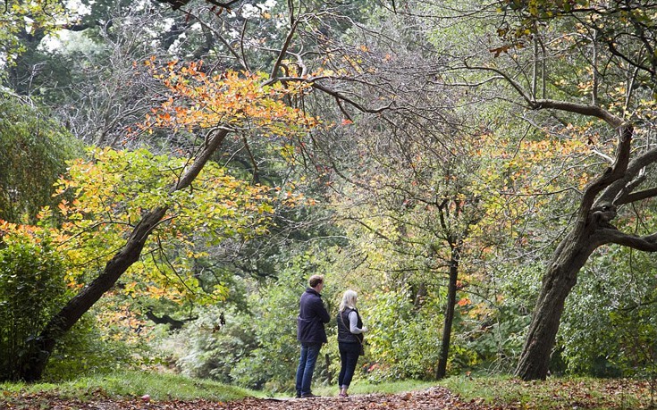 weastshfn7 weastshfn7