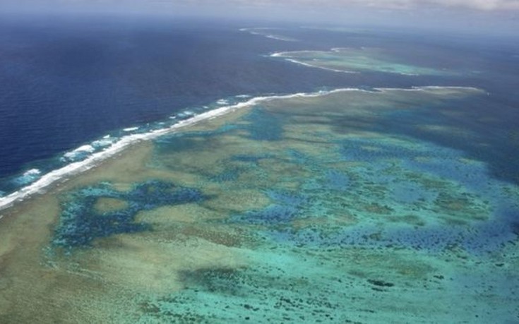 Τεράστιες απώλειες στον Μεγάλο Κοραλλιογενή Ύφαλο: Χάθηκαν σε 25 χρόνια τα μισά κοράλλια του