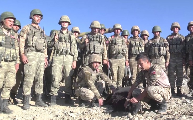 Τούρκοι στρατιώτες σφάζουν αρνί σε θυσία για καλοτυχία στα βουνά των Κούρδων