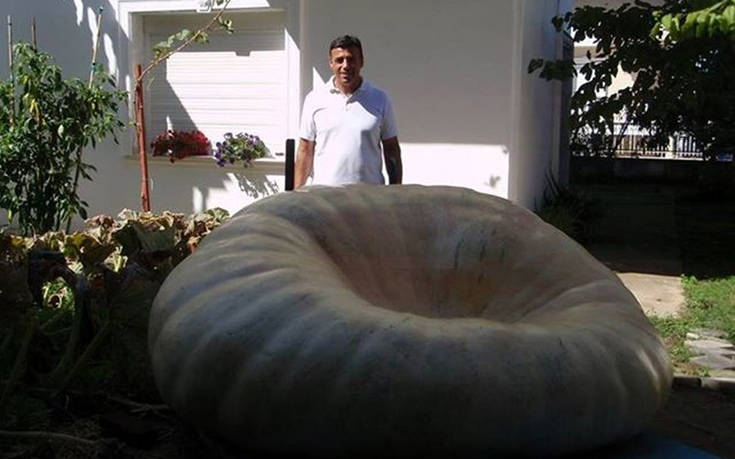 Η μεγαλύτερη κολοκύθα της Ελλάδας είναι 658 κιλά και βρίσκεται στη Νέα Μηχανιώνα