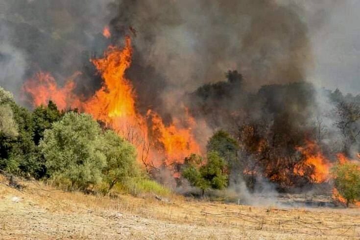 Πυρκαγιά σε δασική έκταση στο Λάγιο Λακωνίας