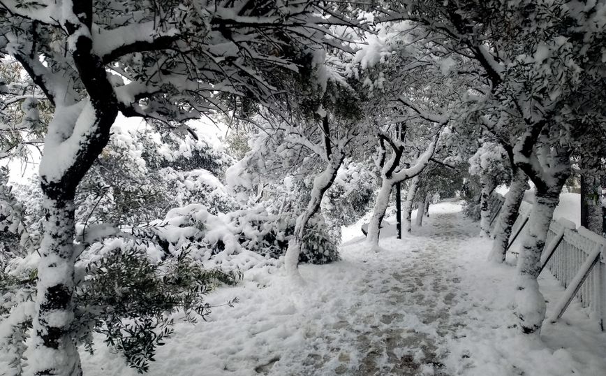 Λαγουβάρδος στο Newsbeast: Κορυφώνεται το Σαββατοκύριακο η ψυχρή εισβολή με χιόνια και στην Αττική