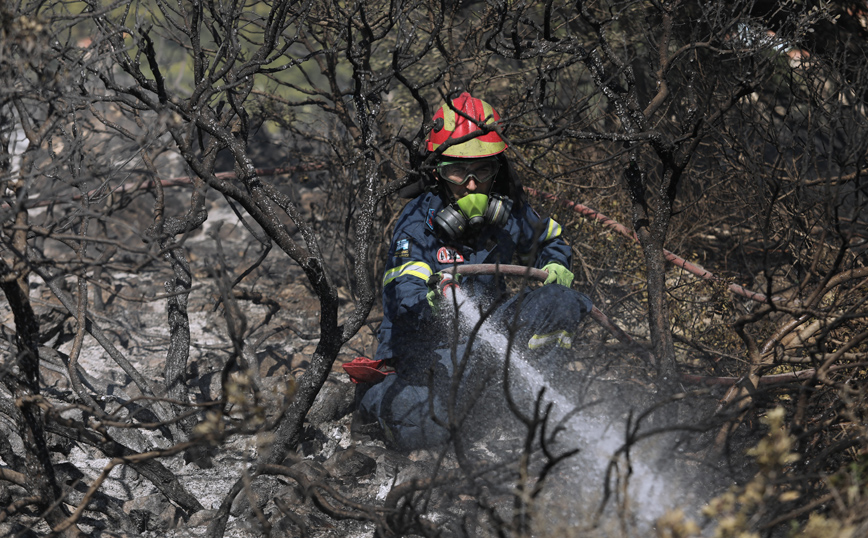 Υπό μερικό έλεγχο η φωτιά στο Μαρκόπουλο Ωρωπού &#8211; 31 δασικές πυρκαγιές το τελευταίο 24ωρο στην Ελλάδα