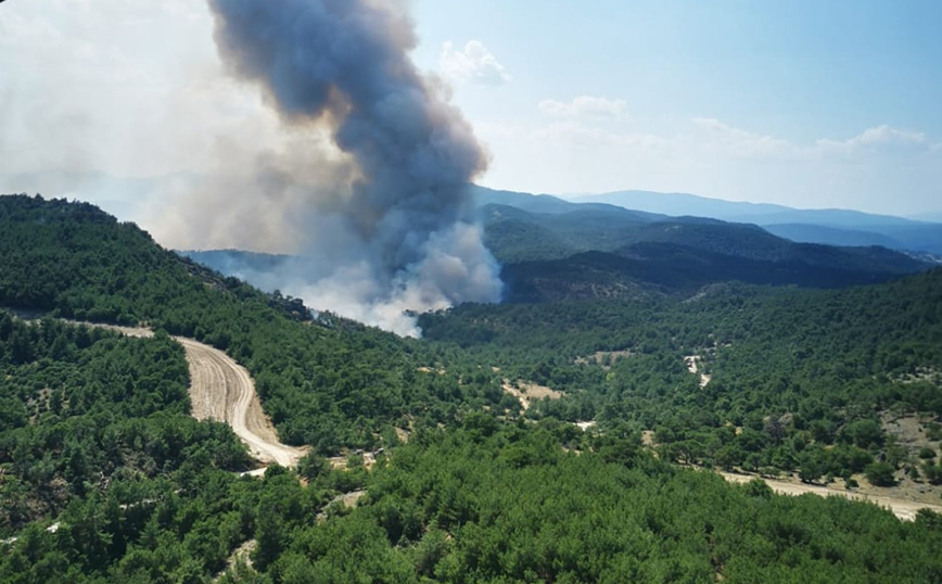 Τα μέτρα για τη αποκατάσταση των ζημιών από τις πυρκαγιές στον Έβρο και τη Θεσσαλία