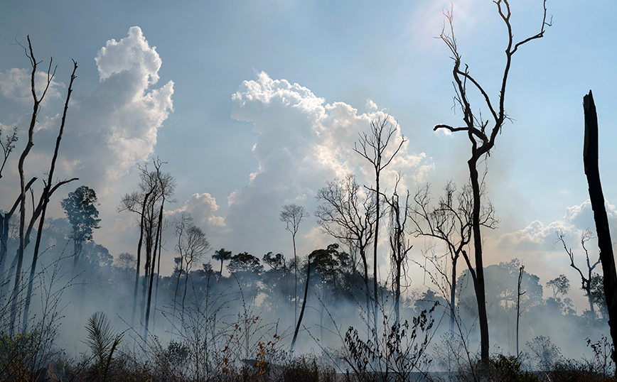 «Κόκκινος συναγερμός» στην Αμαζονία: Το 26% έχει καταστραφεί ανεπανόρθωτα