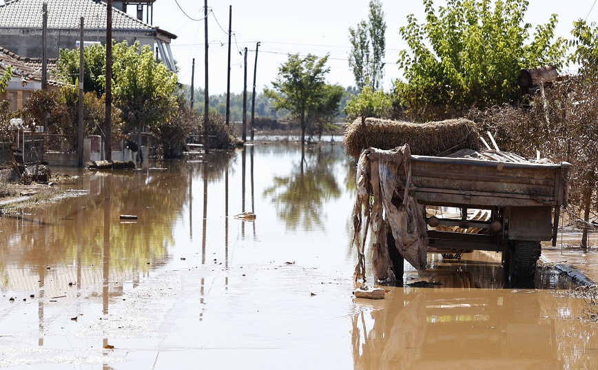 Κακοκαιρία Daniel: Αυτές είναι οι τηλεφωνικές γραμμές για πλημμυροπαθείς αγρότες και κτηνοτρόφους