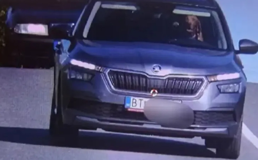 Κάμερα κυκλοφορίας «τσάκωσε» σκύλο πίσω από το τιμόνι στη Σλοβακία &#8211; «Κύριε σκύλε υπερβήκατε το όριο ταχύτητας»