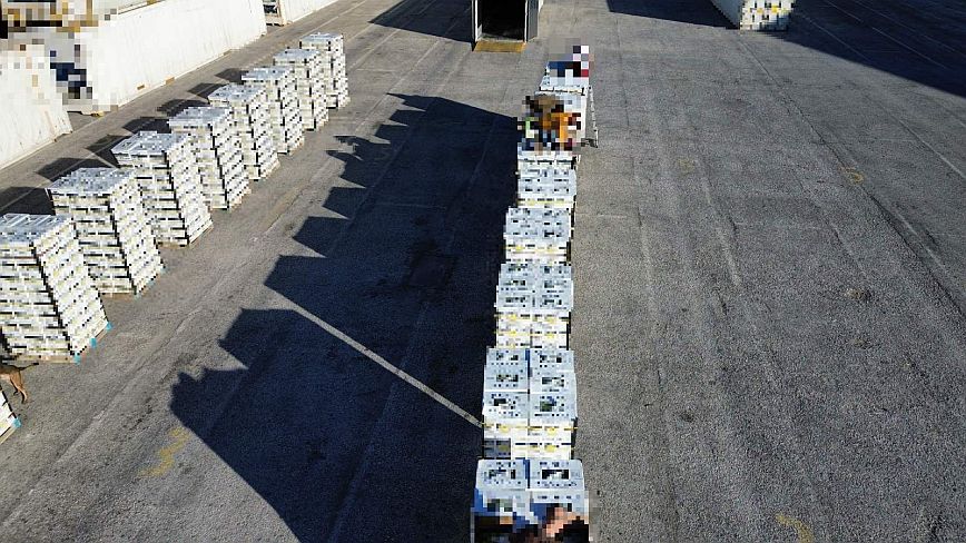 Κοντέινερ με μπανάνες στο λιμάνι του Πειραιά έκρυβε 91 κιλά κοκαΐνης, αξίας τεσσάρων εκατ. ευρώ