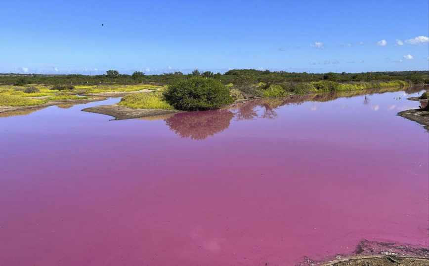 Λίμνη έγινε ροζ στη Χαβάη και οι επιστήμονες προειδοποιούν για το νερό της