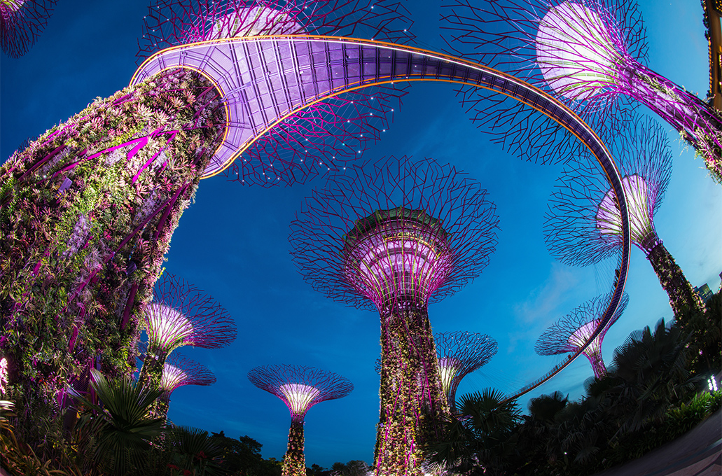 Τα «υπερδέντρα» με ηλιακή ενέργεια  που δίνουν ζωή στην αστική όαση της Σιγκαπούρης