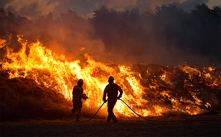 Το 2023 ήταν μια χρονιά καταστροφικών δασικών πυρκαγιών με εκατοντάδες νεκρούς