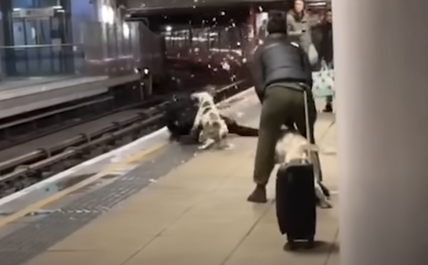 Η στιγμή που σκυλιά επιτίθενται σε άντρα σε σταθμό του μετρό στη Μεγάλη Βρετανία