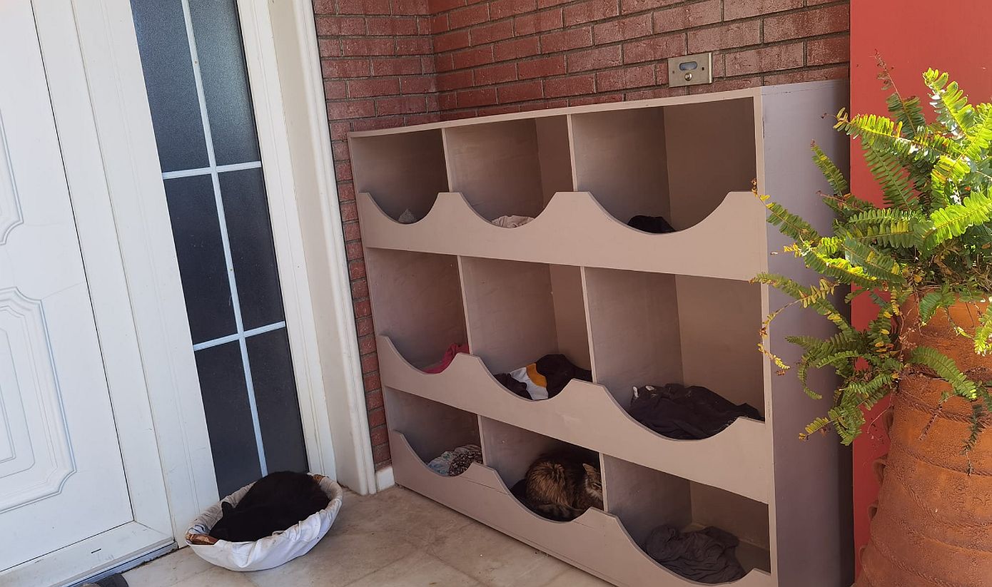 Όμορφη πρωτοβουλία του δημάρχου Δυτικής Λέσβου για τα αδέσποτα γατάκια: Έχτισε πολ&#8230;catοικία στην είσοδο της οικίας του