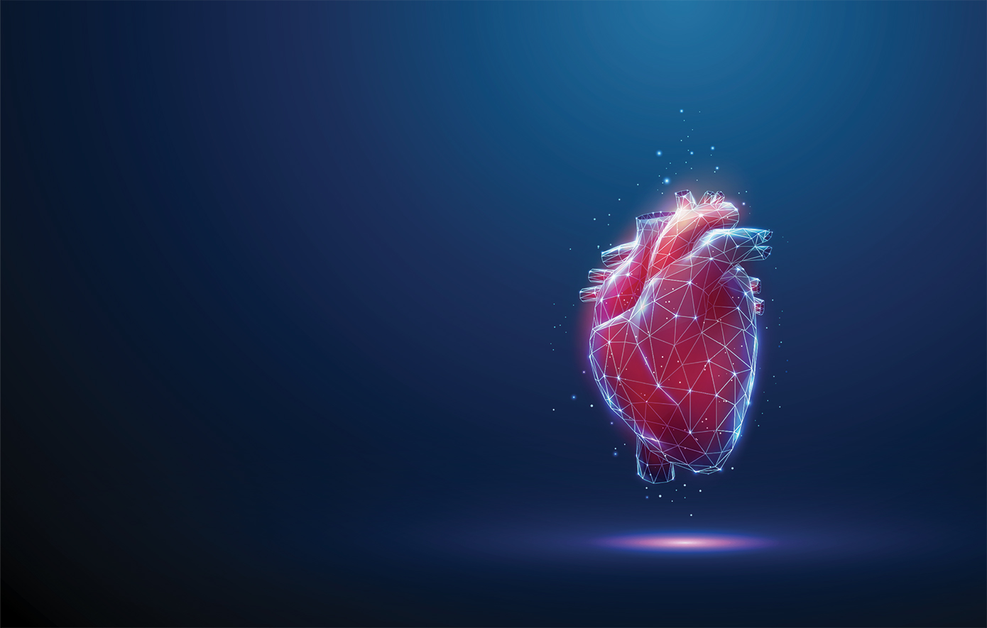 Βακτήρια του εντέρου συνδέονται με χαμηλότερο κίνδυνο καρδιακής νόσου