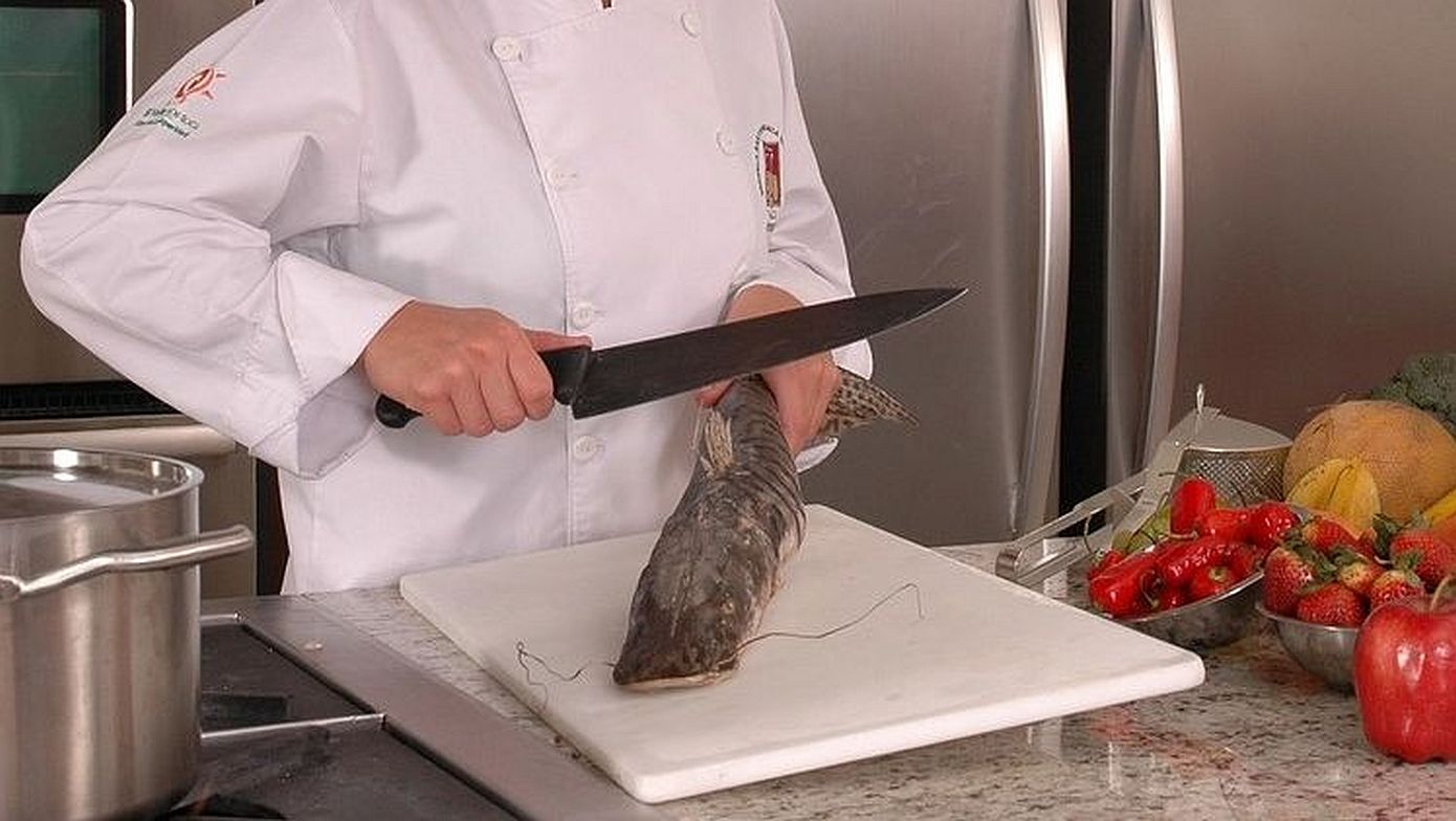 Σάλος στην Αυστρία: Σεφ μαγείρεψε μπροστά στις κάμερες προστατευόμενο είδος ψαριού &#8211; Συγγνώμη ζήτησε η δημόσια τηλεόραση