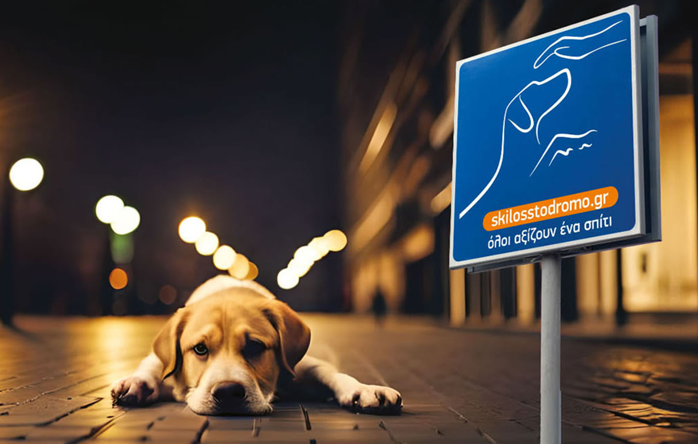 «Σκύλος στο δρόμο»: Μία διαφορετική γιορτή για τα αδέσποτα