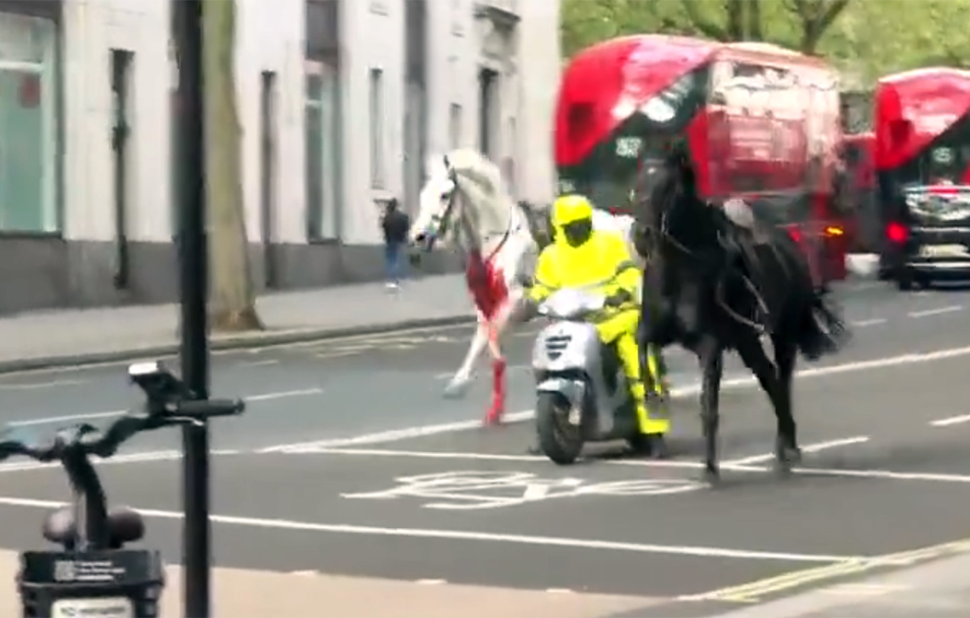 Απίστευτες εικόνες στο Λονδίνο &#8211; Άλογα κάλπαζαν ελεύθερα στο κέντρο της πόλης