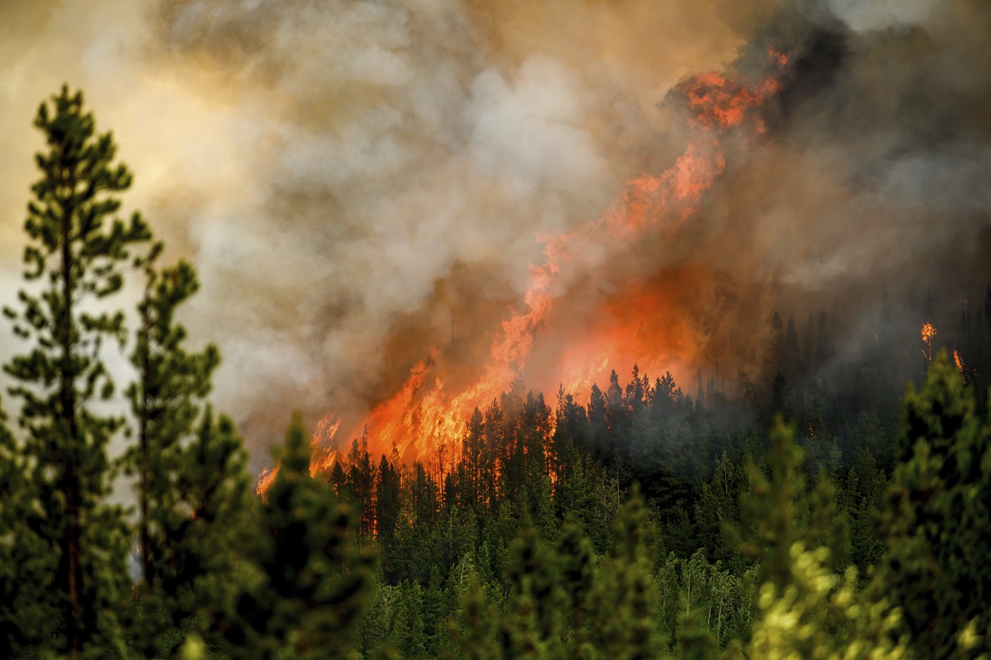 Οι πρώτες δασικές πυρκαγιές στον Καναδά είναι γεγονός – Δεκάδες εστίες μέσα σε λίγες μέρες