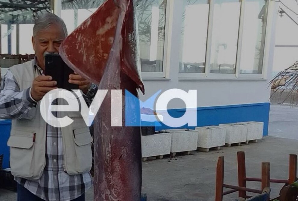 Καλαμάρι που ζυγίζει 15 κιλά έπιασε ερασιτέχνης ψαράς στην Εύβοια