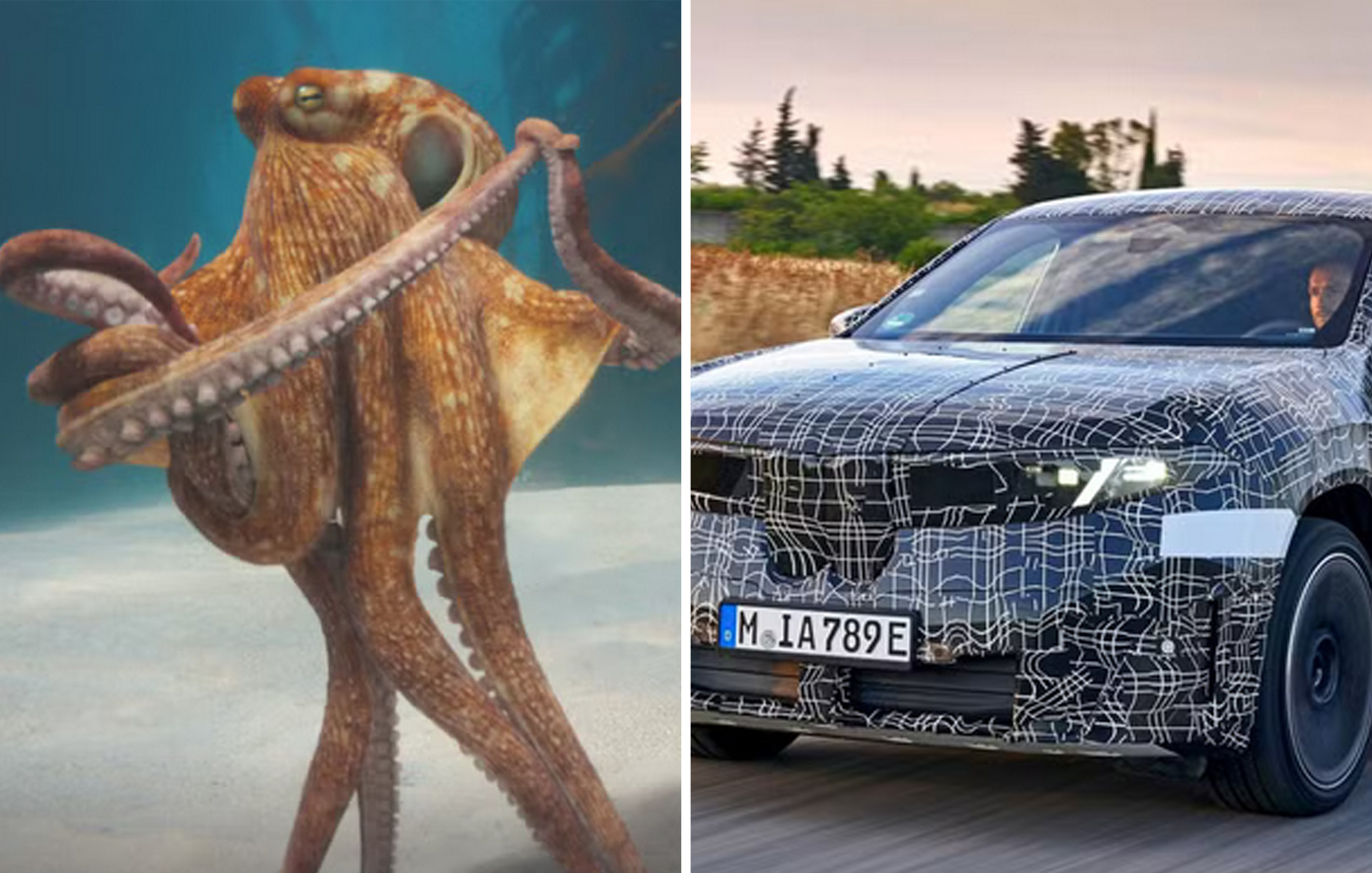 Η νέα BMW είναι ανώτερη από τα… χταπόδια – Η αλλόκοτη διαφημιστική καμπάνια