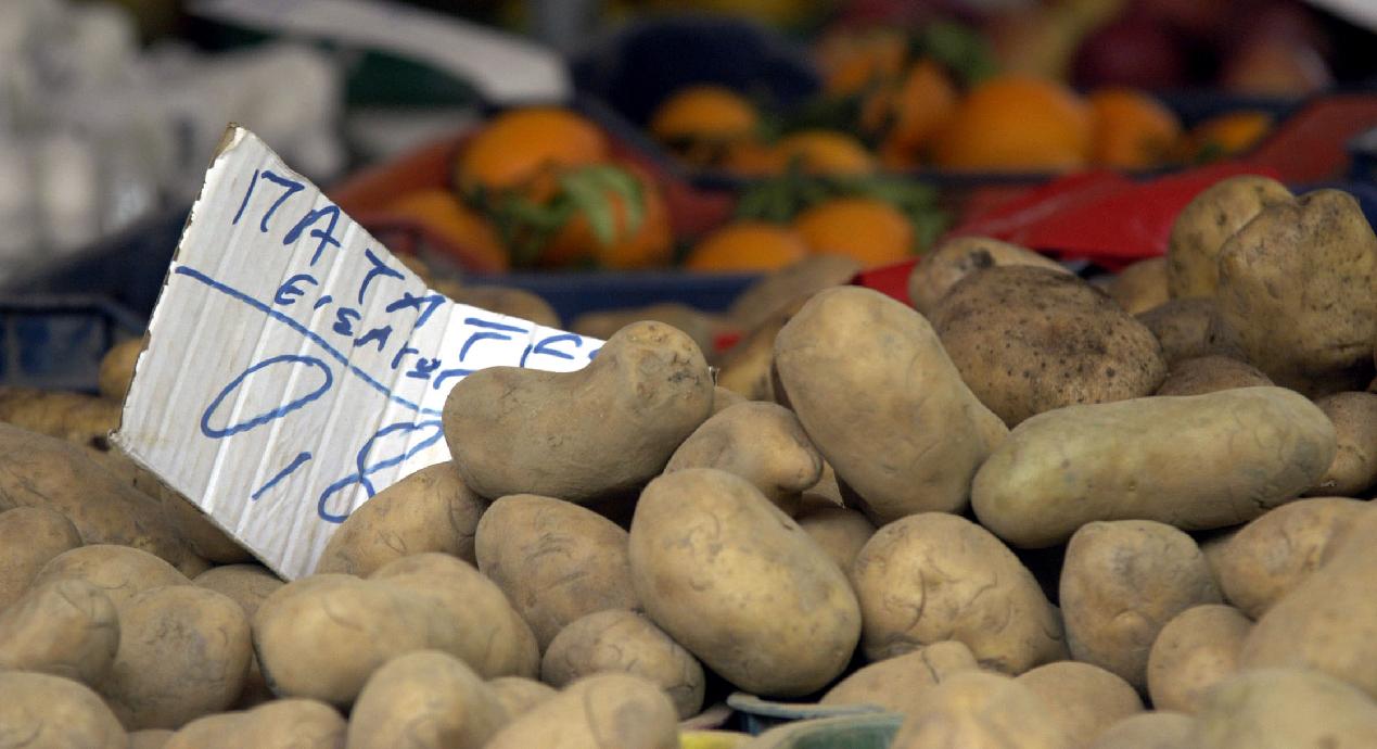 Παραγωγοί και εισαγωγείς διαφωνούν για την&#8230; πατάτα Αιγύπτου