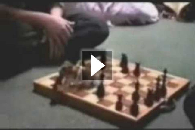 Το χάμστερ που παίζει&#8230; σκάκι
