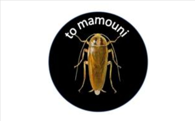 mamouni24.blogspot.com