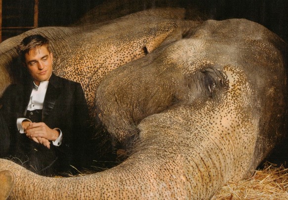 Ο Pattinson στην αγκαλιά&#8230; ελέφαντα