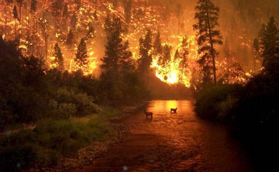 Ξεμπλόκαρε η χρηματοδότηση για τις πληγείσες περιοχές από τις πυρκαγιές του 2007