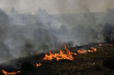 Πυρκαγιά στη Νικήτη Χαλκιδικής