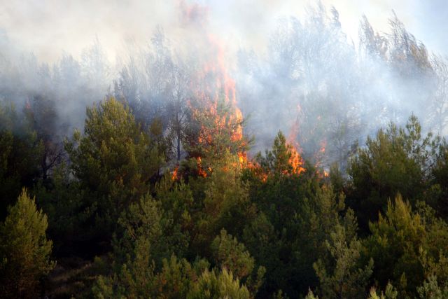 Οι φλόγες πλησιάζουν σπίτια στο Κεντροχώρι Ρεθύμνου