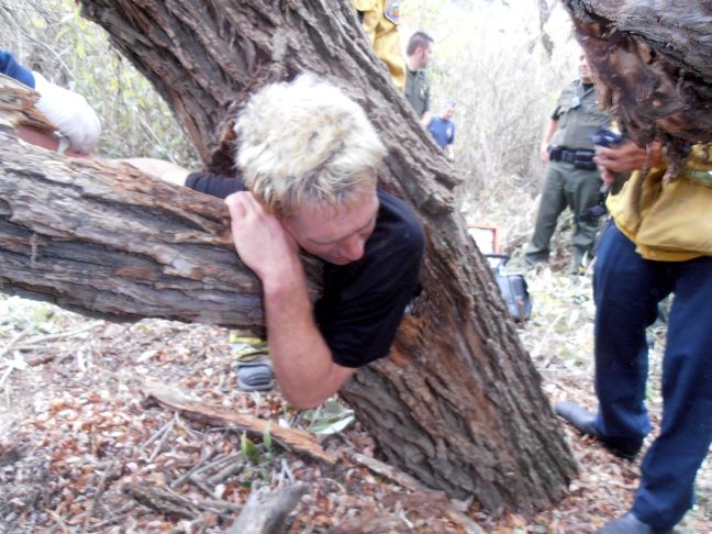 Σφηνώθηκε σε… κουφάλα δέντρου