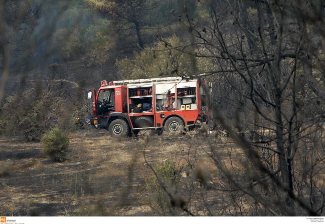 Πυρκαγιά στην περιοχή Κακόλακκος στα Ιωάννινα