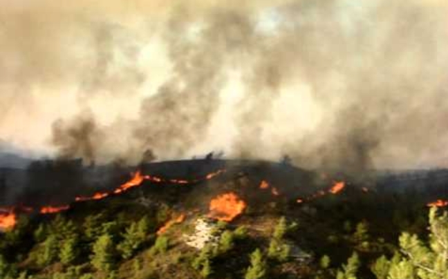 Έχουν καεί 2.000 στρέμματα δάσους στη Ρόδο