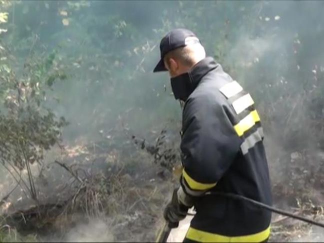 Εκτός ελέγχου η φωτιά στο όρος Τάρα στη Σερβία