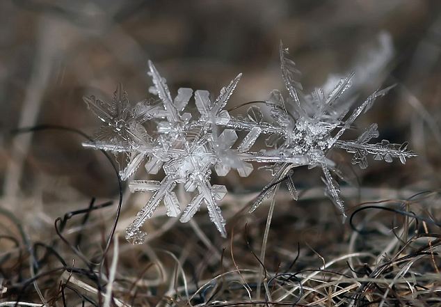 Εντυπωσιακές φωτογραφίες από… πάγο