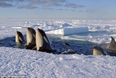 Η κλιματική αλλαγή αυξάνει τους πάγους στην Ανταρκτική