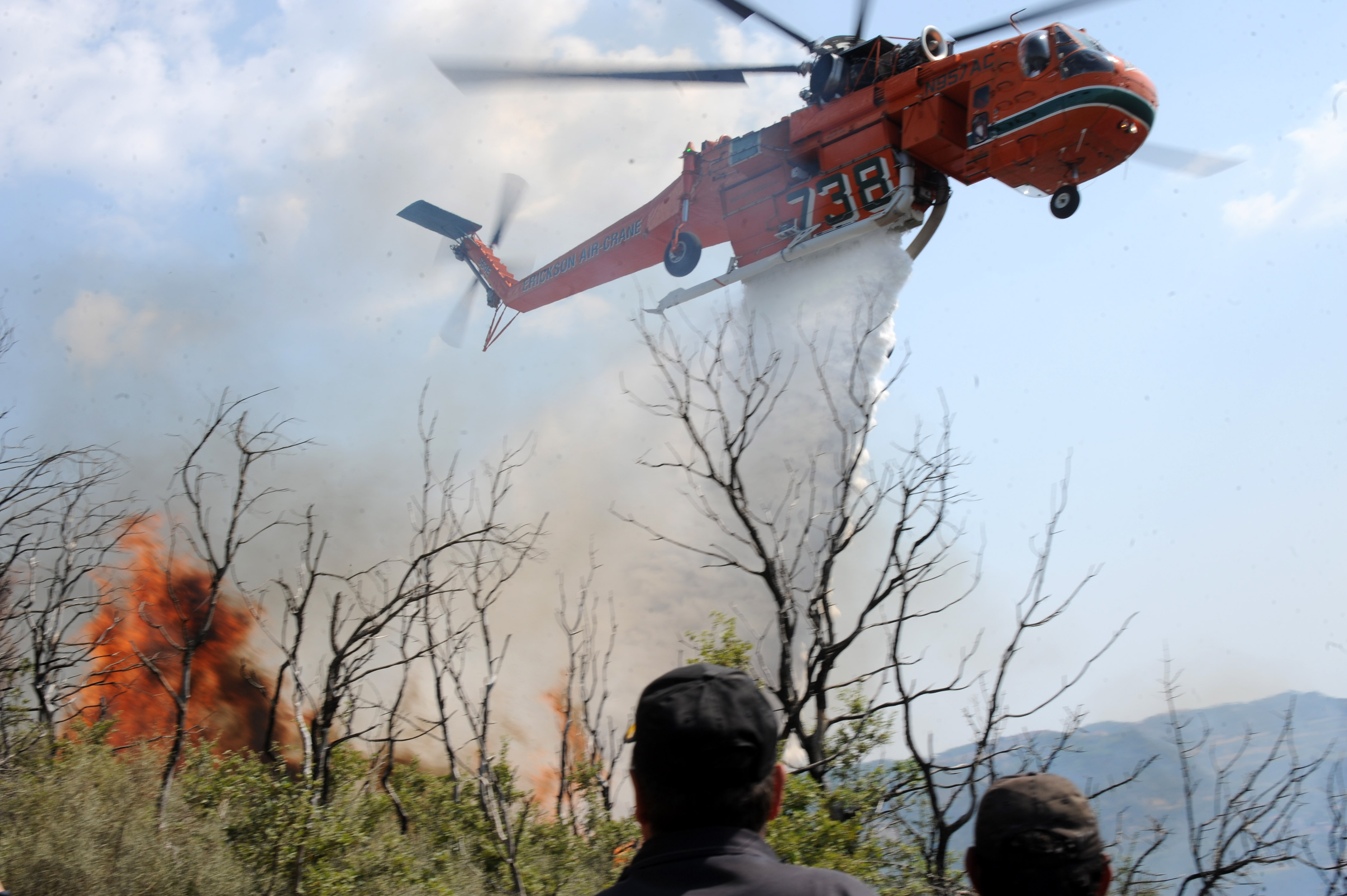 Πυρκαγιά σε δασική έκταση στα Ψαχνά της Εύβοιας