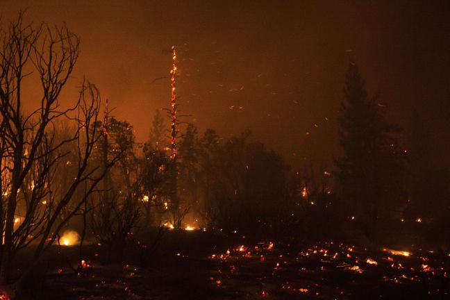 Ολονύχτια μάχη με τις φλόγες στη Χαλκιδική