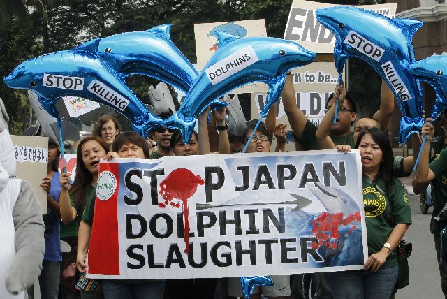 «Σταματήστε τη σφαγή των δελφινιών»