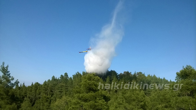 Πυρκαγιά σε πευκόφυτη έκταση στη Χαλκιδική