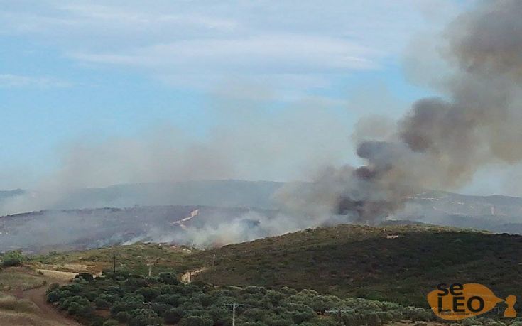 Φωτιά από πτώση κεραυνού στη Σιθωνία Χαλκιδικής