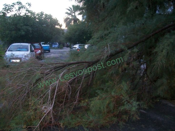 Ζημιές από ξαφνικό καλοκαιρινό μπουρίνι στη Λέσβο